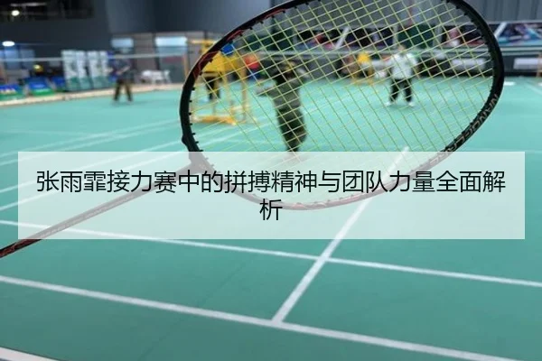 张雨霏接力赛中的拼搏精神与团队力量全面解析